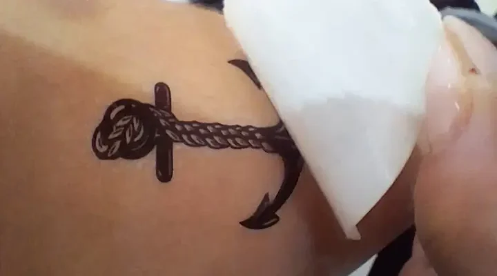 Sem nome (Apresentação)